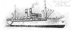 1911 - San Guglielmo - Siculo Americana 