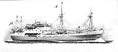 1956 - Capo Faro 