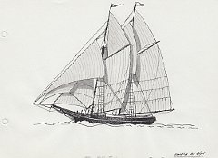 187 America del Nord - schooner da pesca con attrezzatura estiva - 1890 Halibut schooner 
