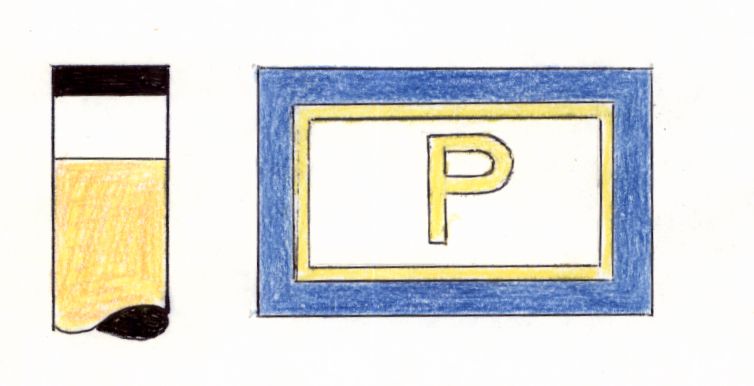 Pollio - Napoli