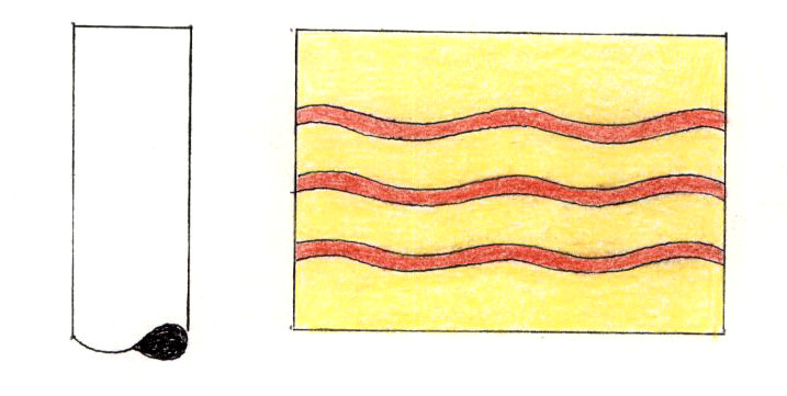 Antartide S.p.A.