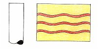  Antartide S.p.A.