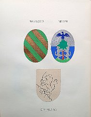 NAVAGER  NEGRI  ORLANDINI