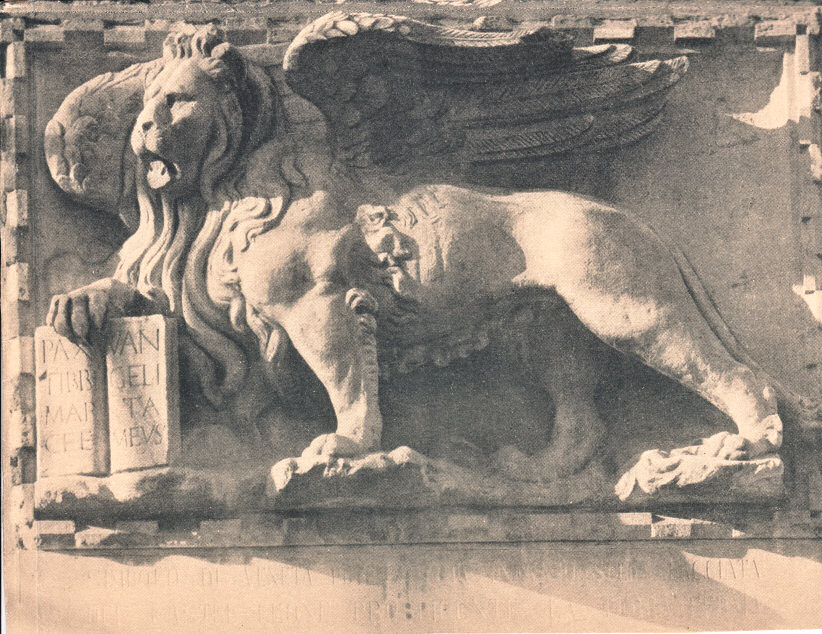 Foto_Leone1