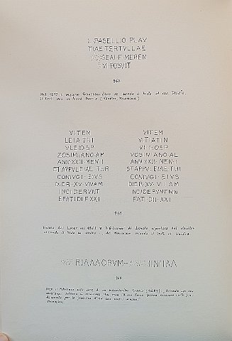 155  260 261 262 