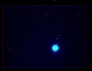 Original image