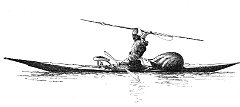 15-Groenlandia-Kayak eschimese di pelle di foca 