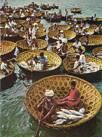 Coste dell'India occidentale