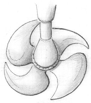 Kanewa