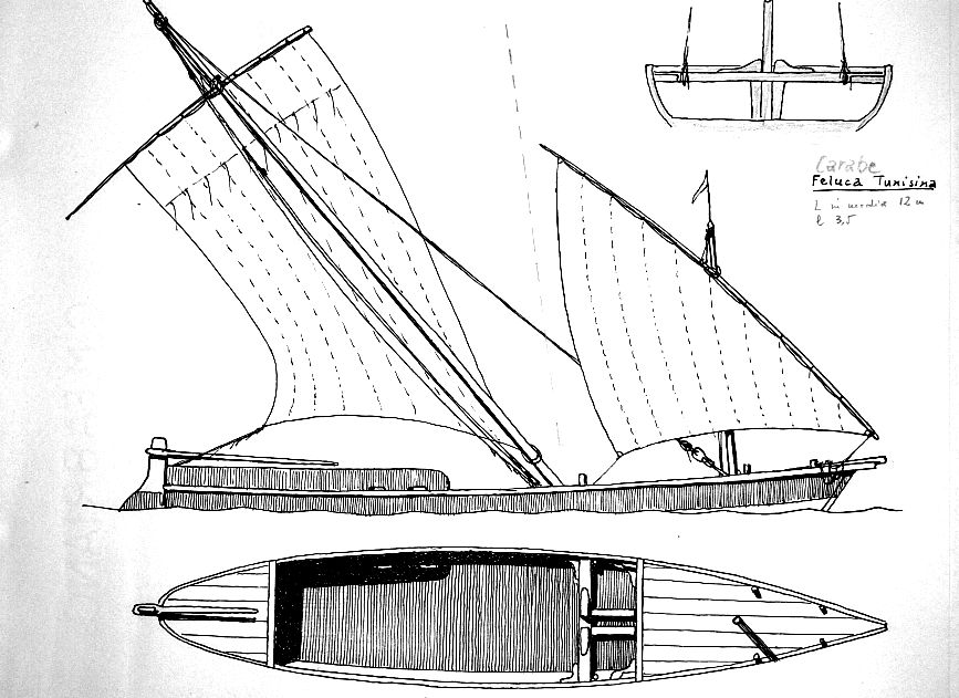 Carabe tunisina. Lunghezza in media 12 m, larghezza 3,5