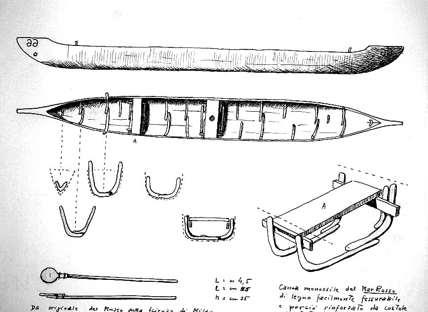 Canoa monossile del Mar Rosso di legno facilmente fessurabile e percio' rinforzato da costole riportate (25 circa). Da originale del Museo della Scienza di Milano. L = m 4,5   l = cm 55   h = cm 25