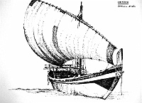  Eritrea - sambuco arabo