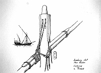  Sambuco del Mar Rosso - calcese e trozza