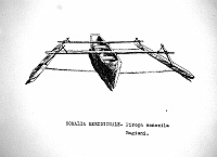  Somalia Meridionale - piroga monoxila Bagiuni