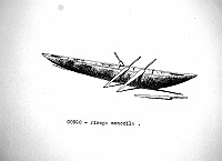  Congo - piroga monoxila