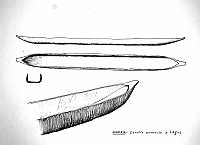 af_0194