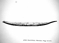  Africa Equatoriale Francese - piroga monoxila