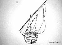  Kotia del Madagascar