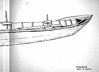  Madagascar - atollo di Aldabra