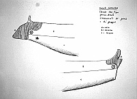 af_0323