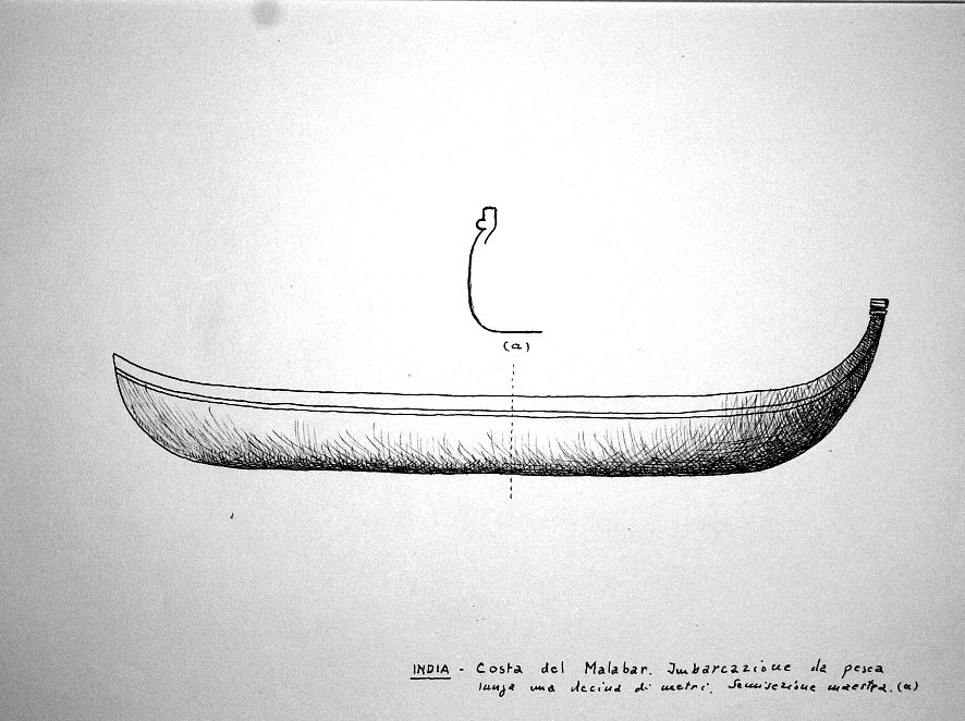 India - Costa del Malabar - Imbarcazione da pesca lunga una decina di metri. Semisezione maestra (a)