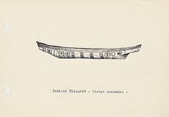 081 Indiani Tlinghit - piroga monoxila 