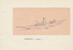 094 Groenlandia - kayak 