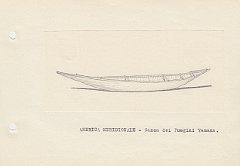 007 America Meridionale - canoa dei Fuegini Yamana 