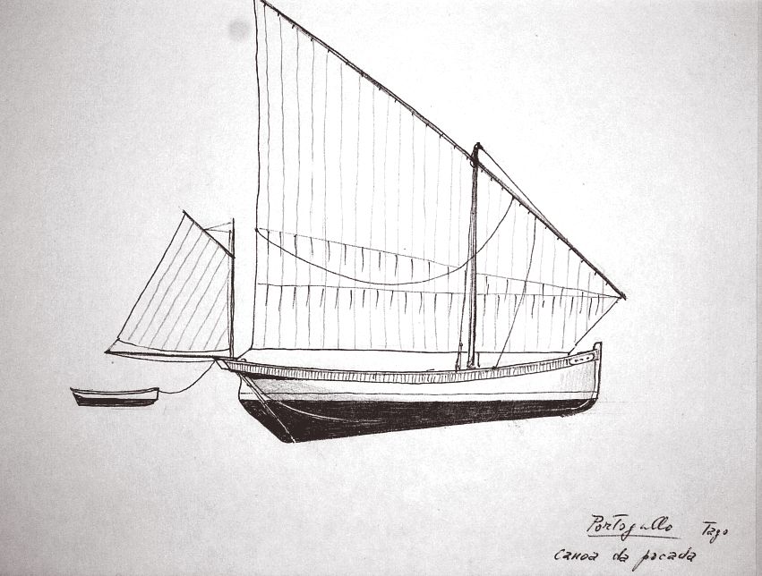 Portogallo - Tago - canoa da pocada