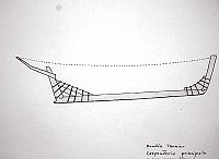  Dundee thonier - carpenteria principale e suo assemblaggio