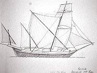  Grecia - saccoleva dell'Egeo (anche Mar Nero)