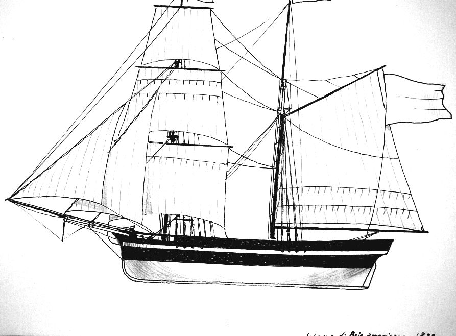 BV_0166