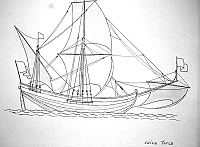  Saica turca