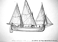  Ultima evoluzione della 