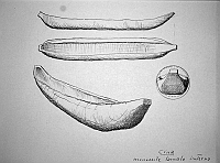  Cina - monossile lacustre