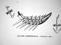  Giappone settentrionale - battello Ainu