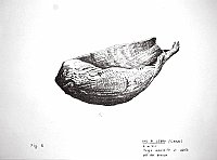  Val di Ledro (Garda) - L 4,50 - piroga monoxila di abete, età del bronzo