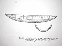  Finlandia - battellino monoxilo con due tavole applicate ai bordi. Costruito, ancora algi inizi del 1900, con tronco di pioppo tremolo plasmato con vapore acqueo