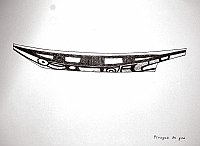  Piragna de goa