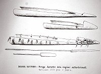  Nuova Guinea - piroga Asmatter delle regioni settentrionali - particolare della prua e pagaie