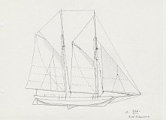194 USA - Scow Schooner 