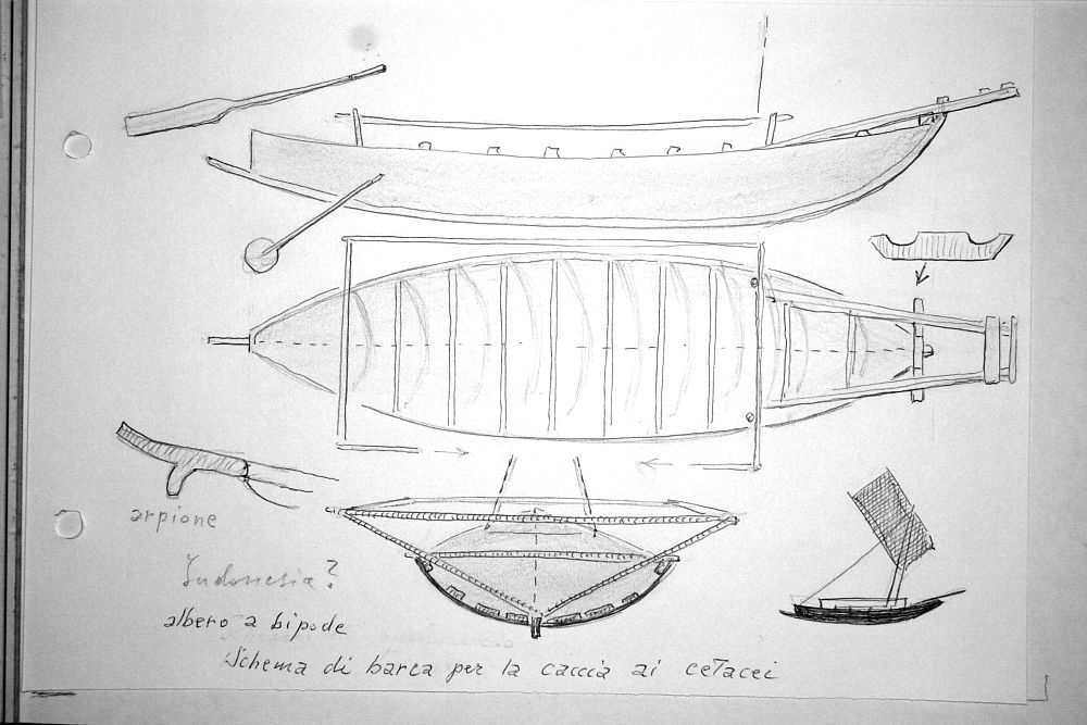 Indonesia (?) schema di barca per la caccia ai cetacei