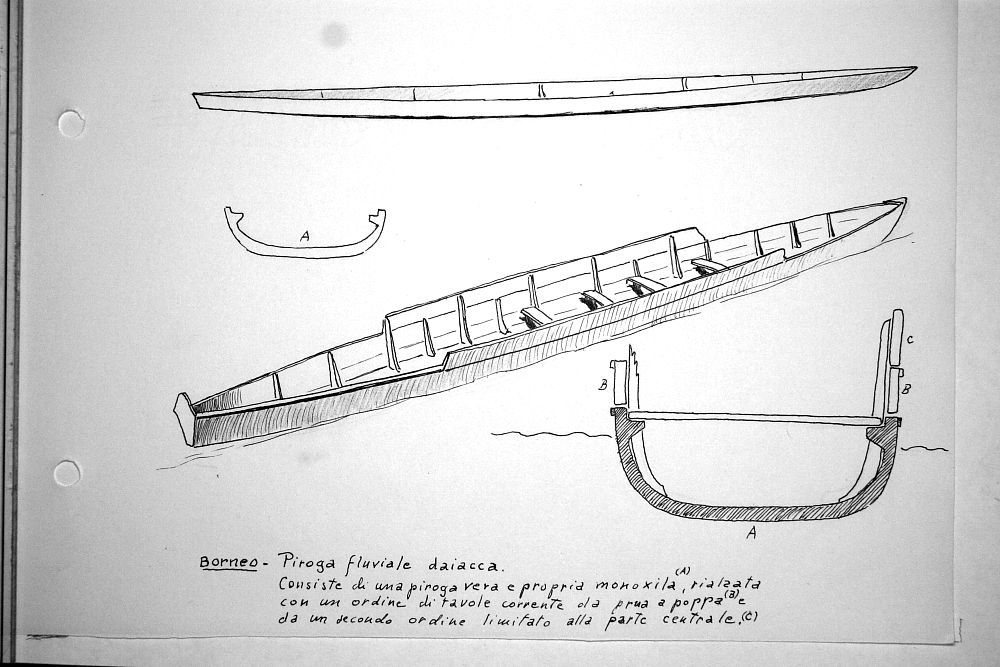 Borneo - piroga fluviale daiacca