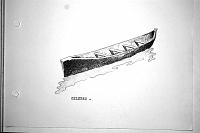 Celebes