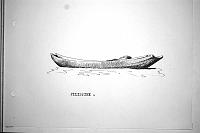  Filippine
