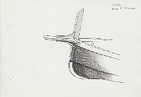 151 Sicilia - barca di Siracusa 