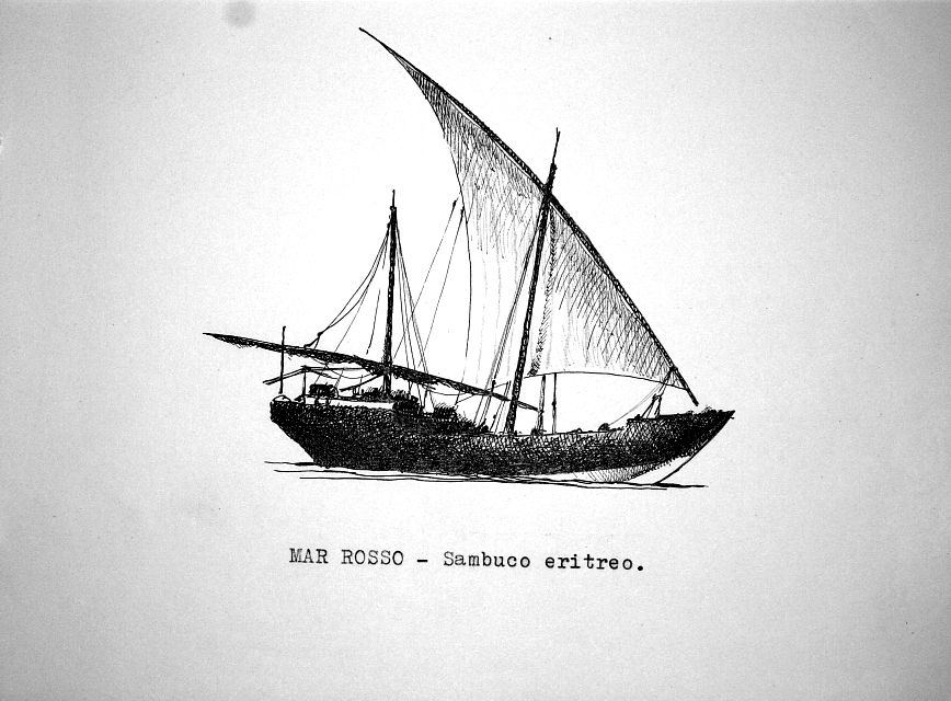 sambuco eritreo - Mar Rosso
