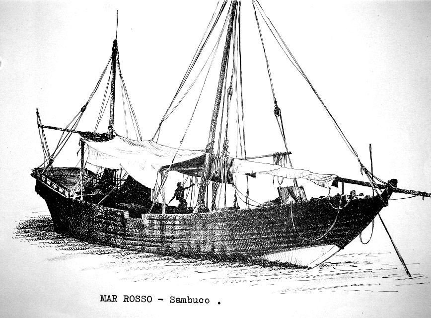 Mar Rosso - sambuco