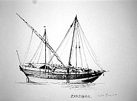  Zanzibar - sambuco