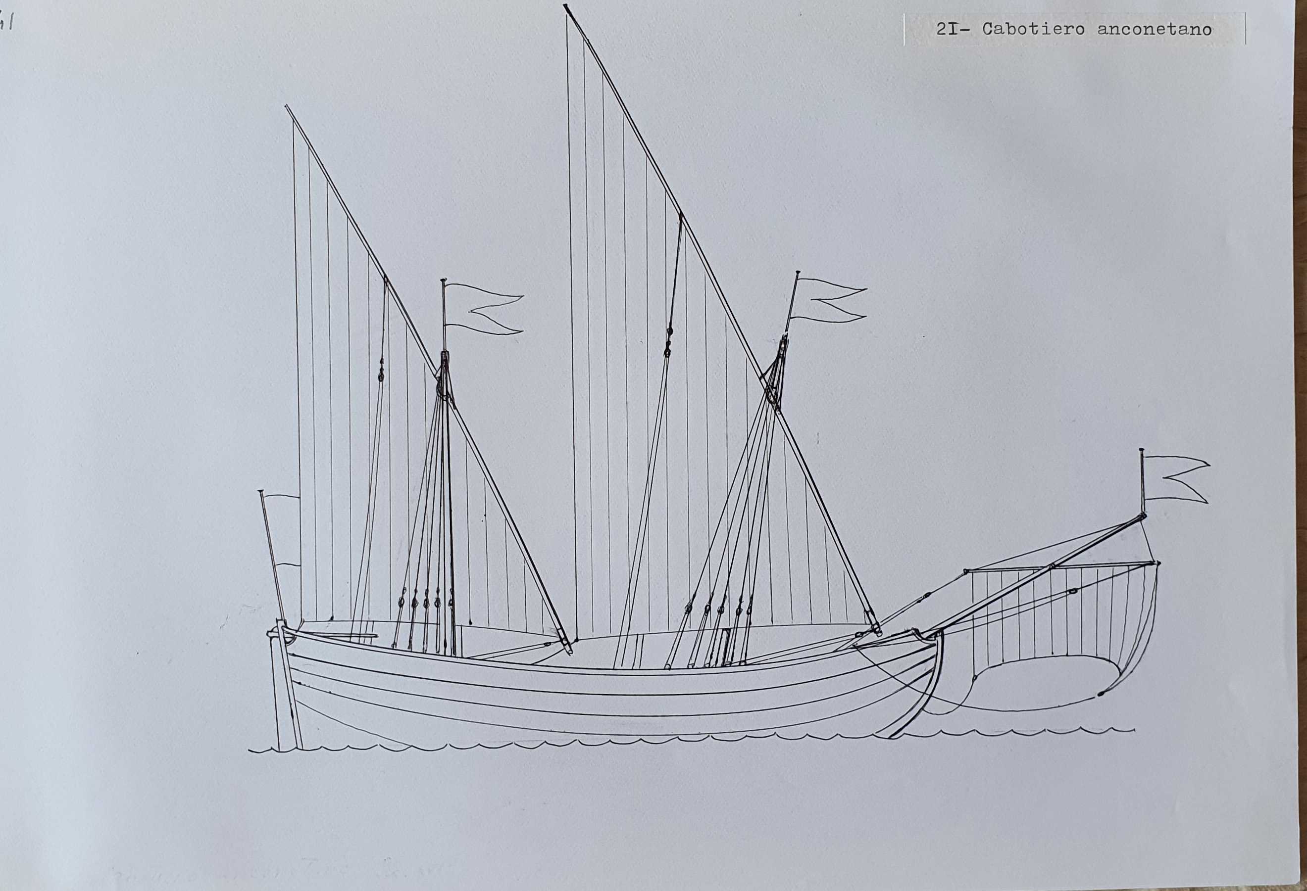 Cabotiero anconetano